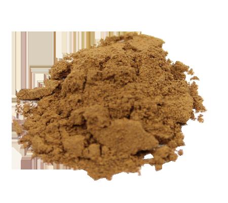 Peganum Harmala 10X Extract (Syrian Rue)